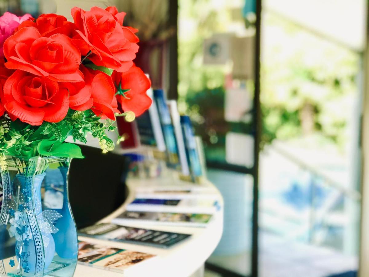Bounty Motel Paihia Εξωτερικό φωτογραφία